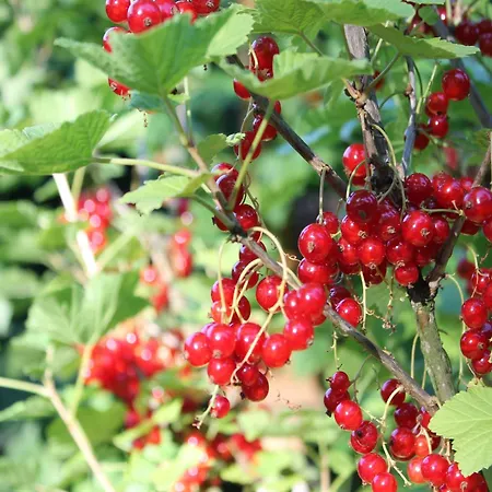 度假居 Ferienzimmer In Kroepelin Brusow