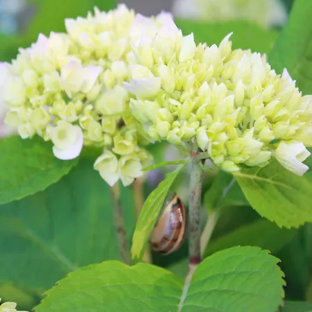 度假居 Ferienzimmer In Kroepelin