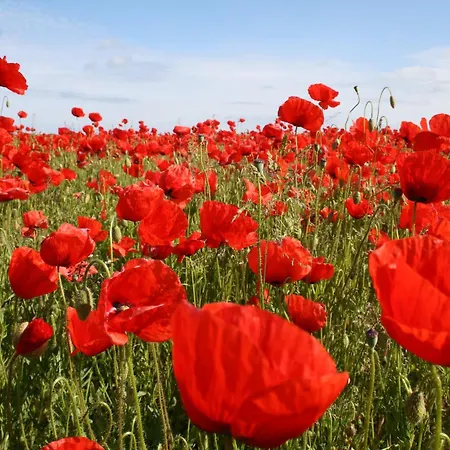 Ferienzimmer In Kroepelin Brusow