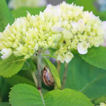 Ferienzimmer In Kroepelin *