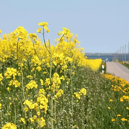 Ferienzimmer In Kroepelin * Brusow