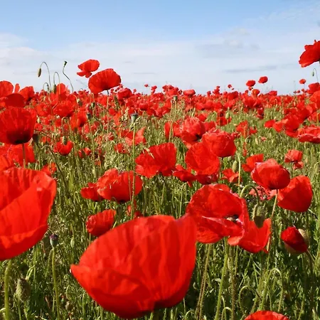 Tatil Evi Ferienzimmer In Kroepelin