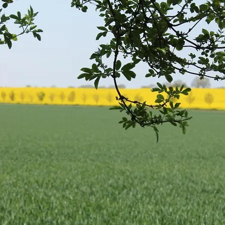 Ferienzimmer In Kroepelin Brusow