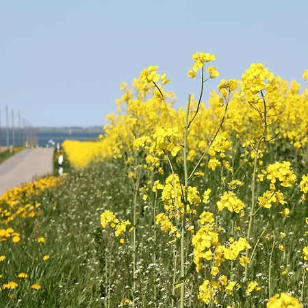 Tatil Evi Ferienzimmer In Kroepelin