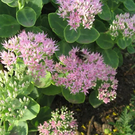 Ferienzimmer In Kroepelin Brusow